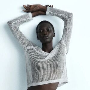 Zara metallic crew neck sliver mesh knit Women's Sweater Size M